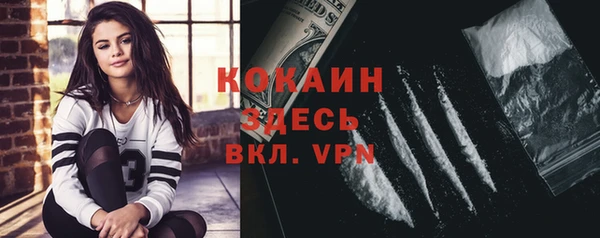 амф Богданович
