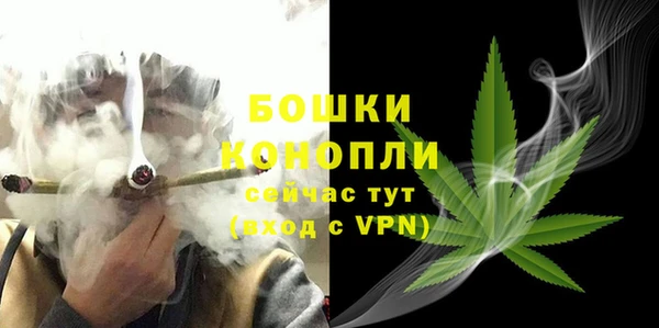 амф Богданович