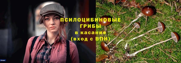 Альфа ПВП Богородицк